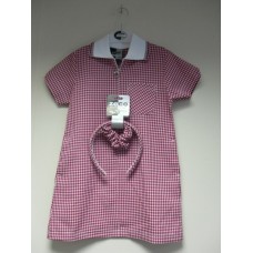 Red A- Line Gingham dress